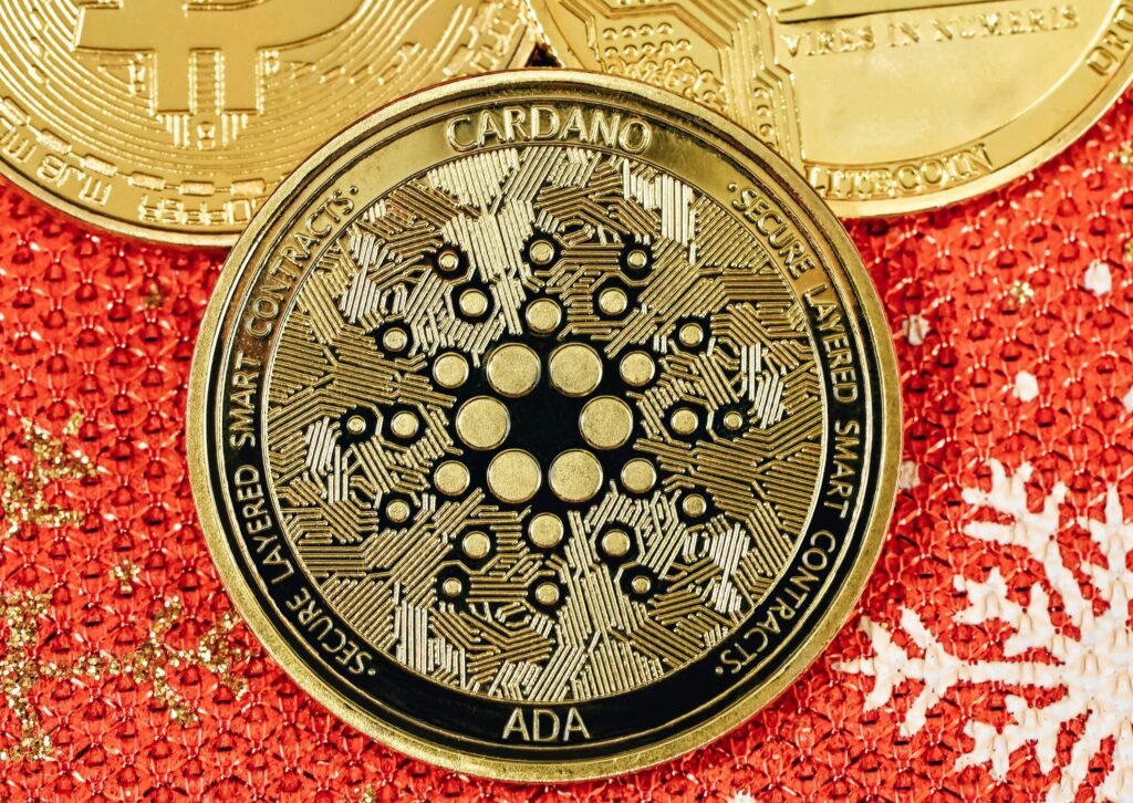 Cardano from Unsplash 2