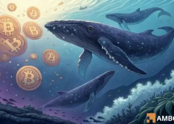 60 new Bitcoin whales are loading up: What secrets do they know? 60 new Bitcoin whales are loading up: What secrets do they know?
