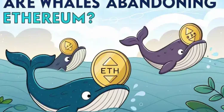 Ethereum whales pull back, but traders, watch out THIS ‘make-or-break’ level!