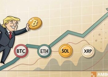 Why is the crypto market up today?