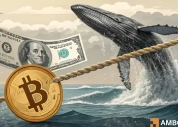 Bitcoin whales absorb market pressure, but is a parabolic run REALLY coming?