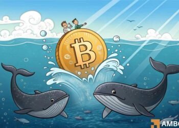 Bitcoin: Whales withdraw 110K BTC – A prelude to a new ATH?