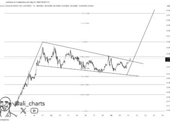 Dogecoin Breaks Out Of Bull Pennant—What’s The Target? Dogecoin Breaks Out Of Bull Pennant—What’s The Target?