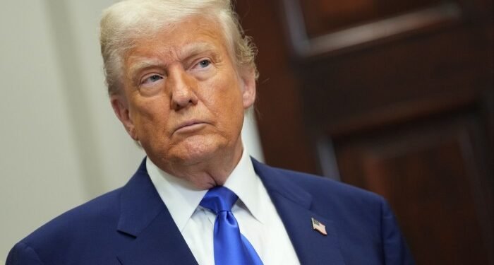 Crypto traders who won dinner with Donald Trump also made big profits Crypto traders who won dinner with Donald Trump also made big profits