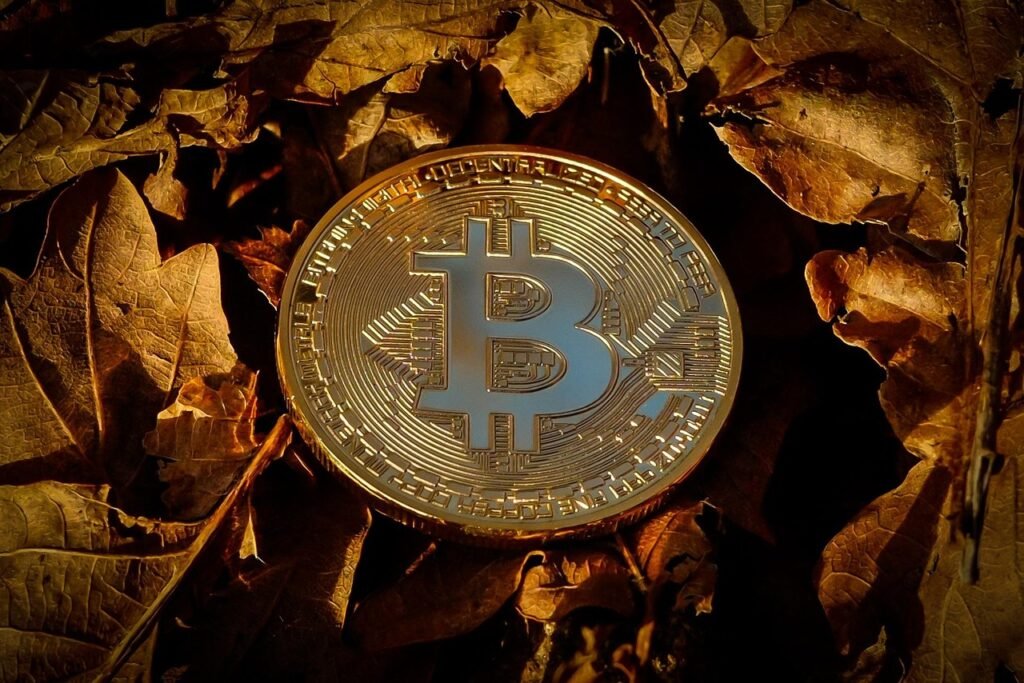 Bitcoin from Pixabay 58