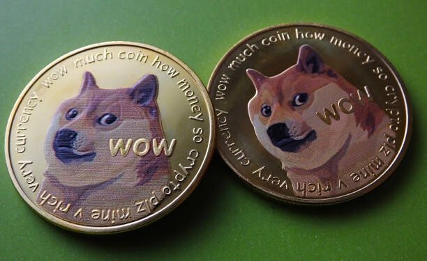 4-Year Cycle Says Dogecoin Price Will Reach , Here’s Why 4-Year Cycle Says Dogecoin Price Will Reach , Here’s Why