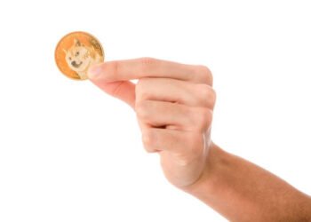 Dogecoin Price Crash Could End Soon With A Roadmap For  Dogecoin Price Crash Could End Soon With A Roadmap For