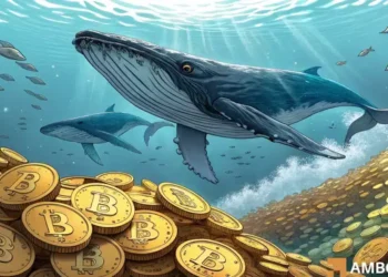 How Bitcoin’s record accumulation could fuel a BTC price surge