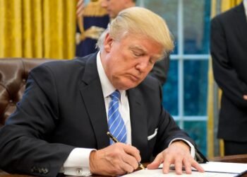Trump’s Executive Order Could Be Bitcoin’s Next Big Catalyst—Novogratz Trump’s Executive Order Could Be Bitcoin’s Next Big Catalyst—Novogratz