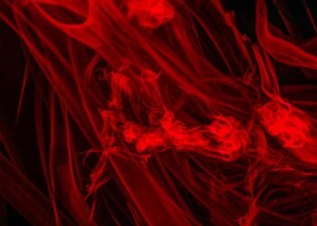 Anthropic wants to stop AI models from turning evil – here’s how