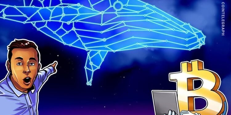 Bitcoin Risk Of Labor Day Drop To 5K Rises Bitcoin Risk Of Labor Day Drop To 5K Rises