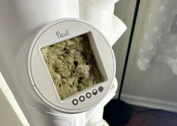 Are smart gardens viable at home? Here’s how my harvesting journey is going so far Are smart gardens viable at home? Here’s how my harvesting journey is going so far