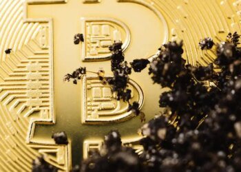 16,000 Ancient Bitcoins Just Moved—And It’s Costing Whales Billions