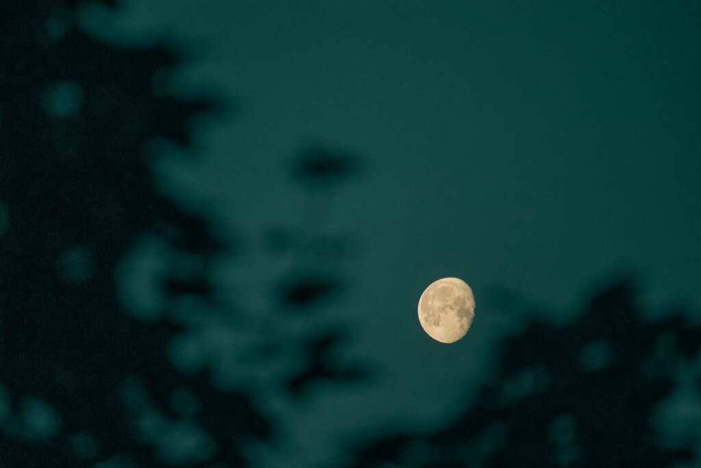 Bitcoin Headed For 0 Trillion? CEO Makes Bold Prediction