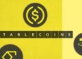 Year in a word: Stablecoins