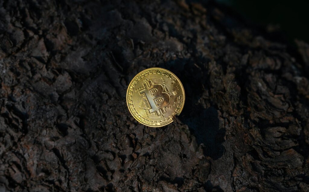 Bitcoin Should Be Flying—Instead, Quantum Keeps It Grounded