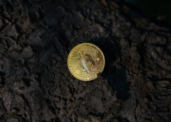 Bitcoin Should Be Flying—Instead, Quantum Keeps It Grounded Bitcoin Should Be Flying—Instead, Quantum Keeps It Grounded