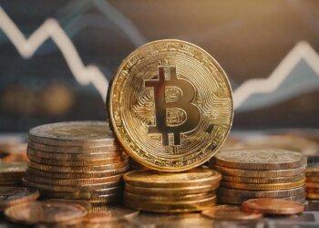 Pundit Shares Everything To Understand About Bitcoin, ‘This Cycle IS Different’
