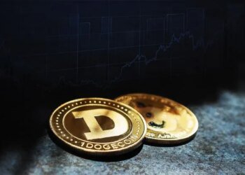 This Chart Says DOGE Price Can Surge To 