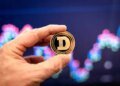 Here’s The Dogecoin Perfect Bottom And The Top Target; Analyst