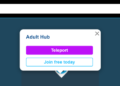 Linden Lab quietly opens adult hub in Second Life – Hypergrid Business